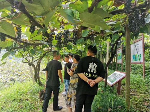天然氧吧，醉美梯田——记博海国济商学院赣州教学点总裁19班崇义之旅444.jpg