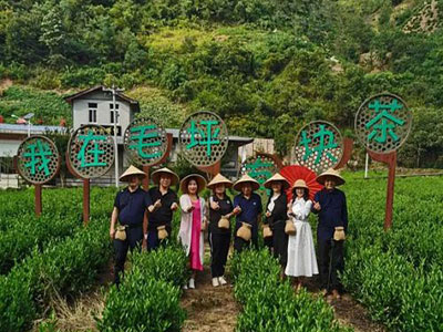 【企业走访】——走访陕西分院总裁1班学员企业丹凤秦鼎茶业有限公司