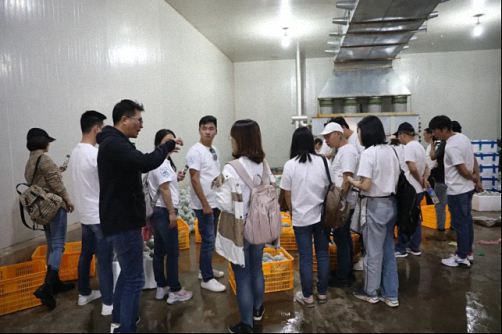 【企业走访】——走访云南事业部总裁33班元谋县蔬菜有限责任公司219.jpg