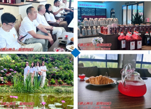 六载同窗情弥勒行，共叙发展谊启新程——记云南新商界30班六周年庆圆满举行947.jpg