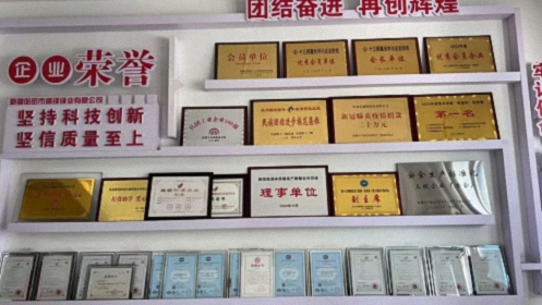 西安CEO研修20班走进新疆哈密·感受产业魅力与丝路文化614.jpg